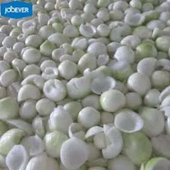 Frozen Onion